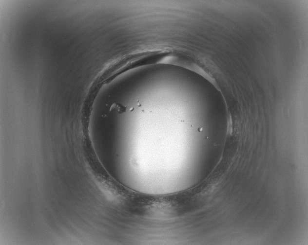 X0000064730256200602101157