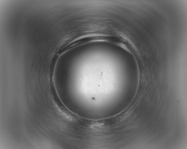 X0000064730257200602101157