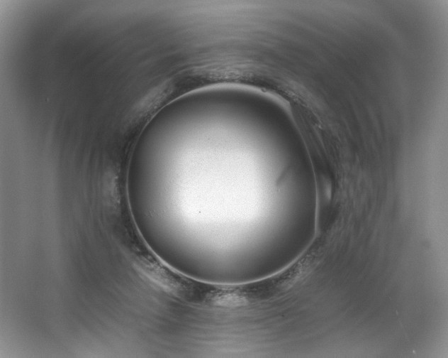 X0000064730258200602101157