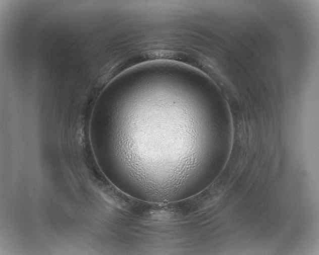 X0000064730259200602101157