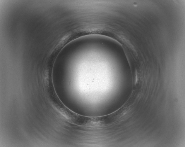 X0000064730260200602101157