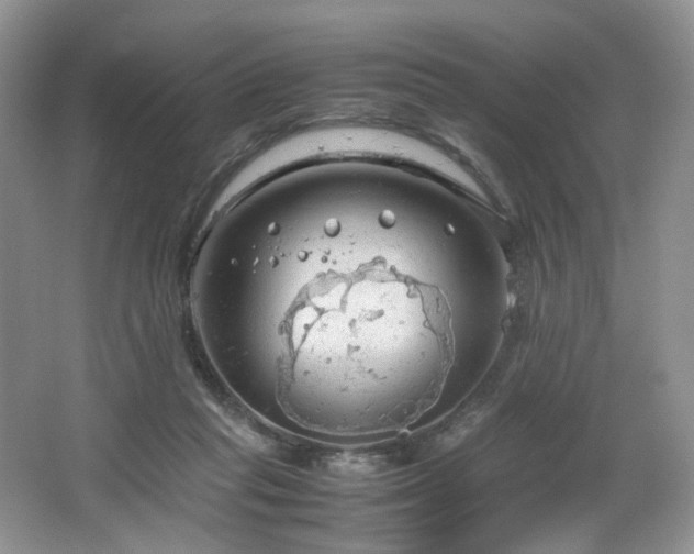 X0000064730261200602101157