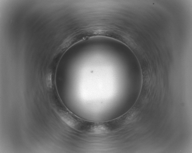 X0000064730262200602101157