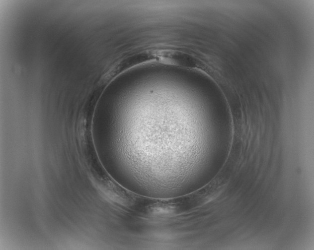 X0000064730263200602101157