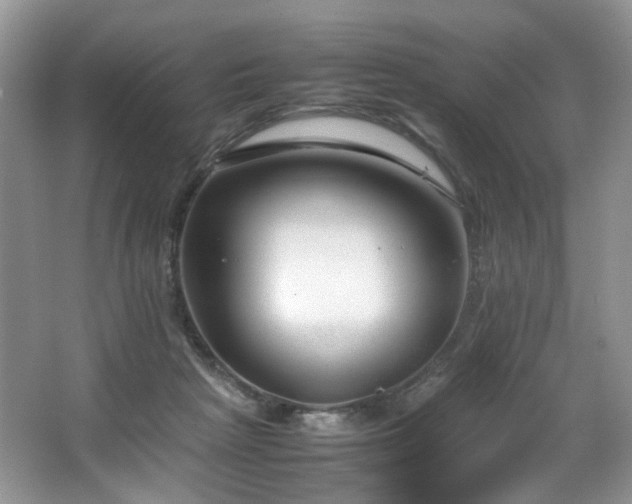 X0000064730265200602101157