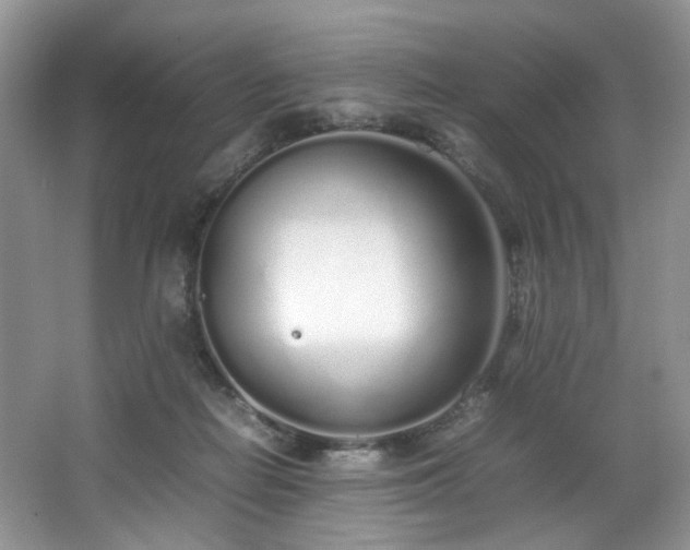 X0000064730266200602101157