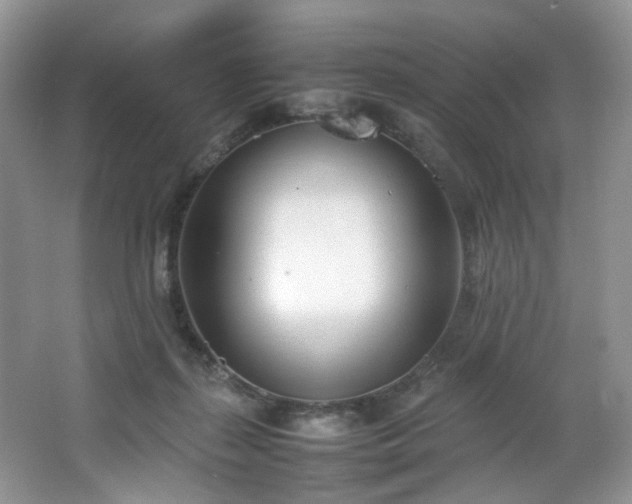 X0000064730267200602101157