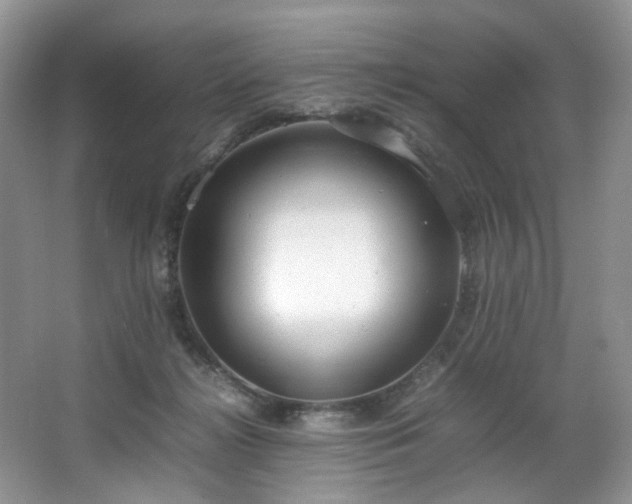 X0000064730268200602101157