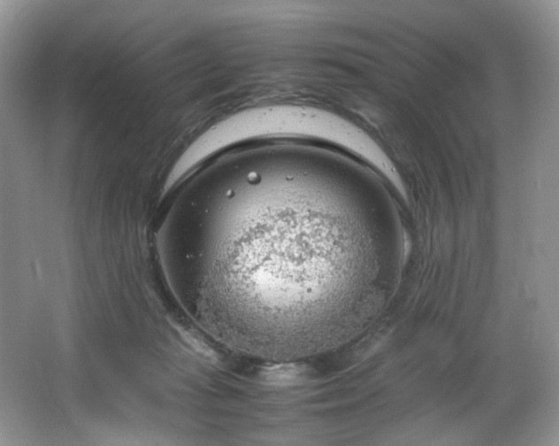 X0000064730269200602101157