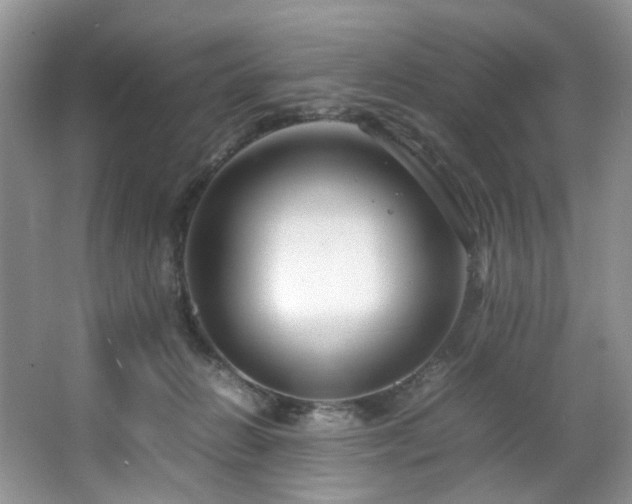 X0000064730270200602101157