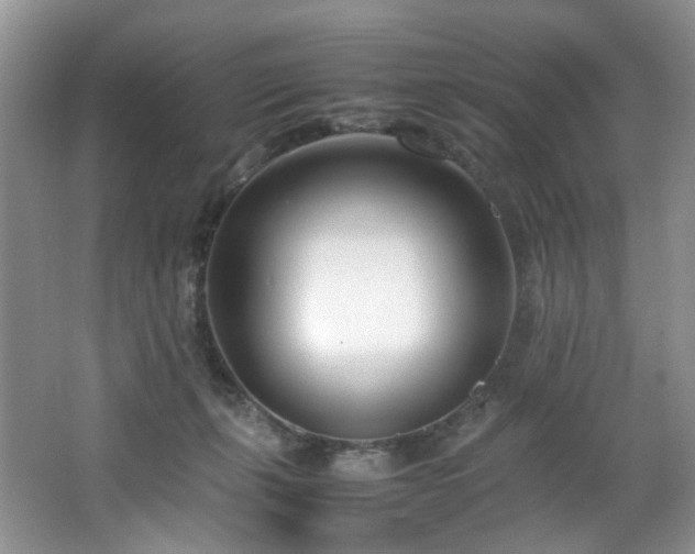 X0000064730271200602101157