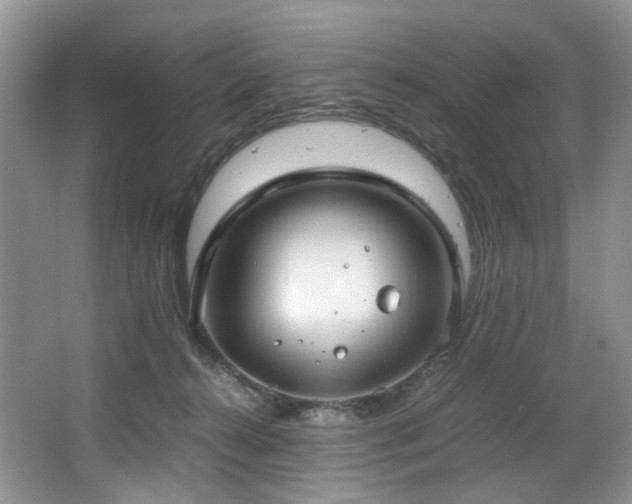 X0000064730272200602101157