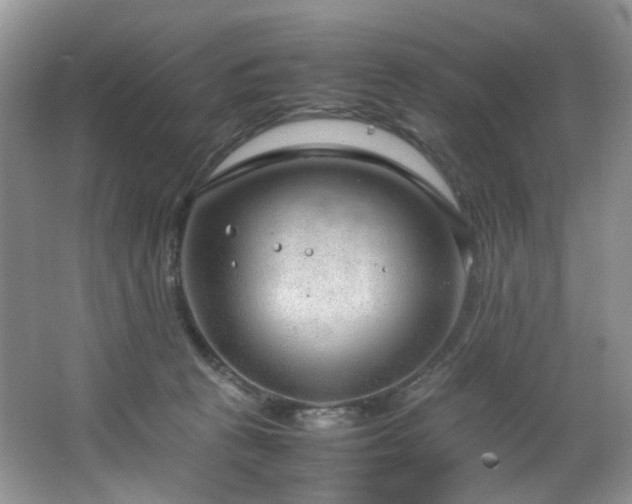 X0000064730273200602101157