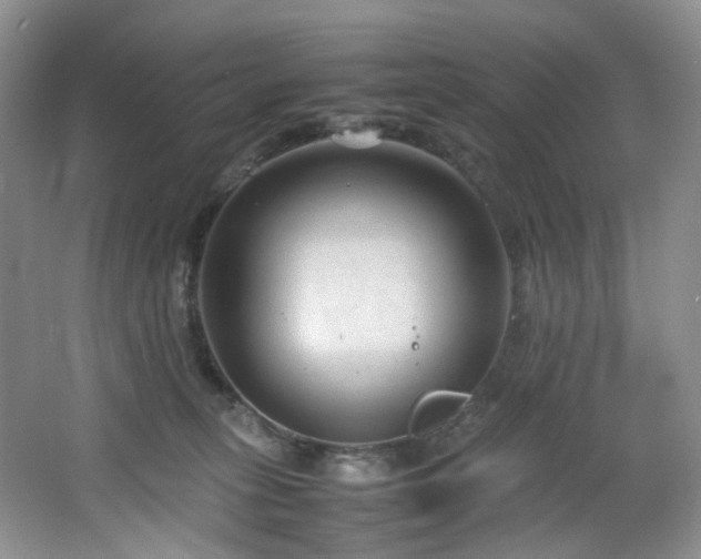 X0000064730275200602101157