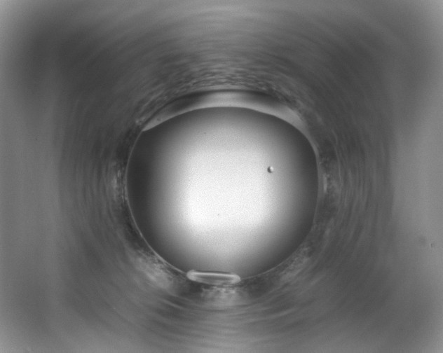 X0000064730276200602101157