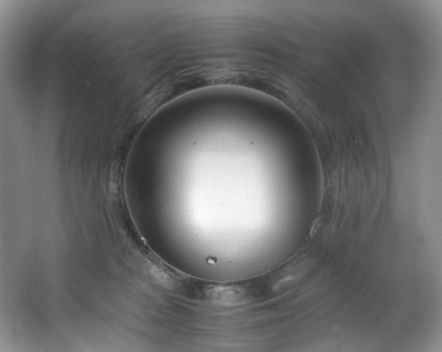 X0000064730277200602101157