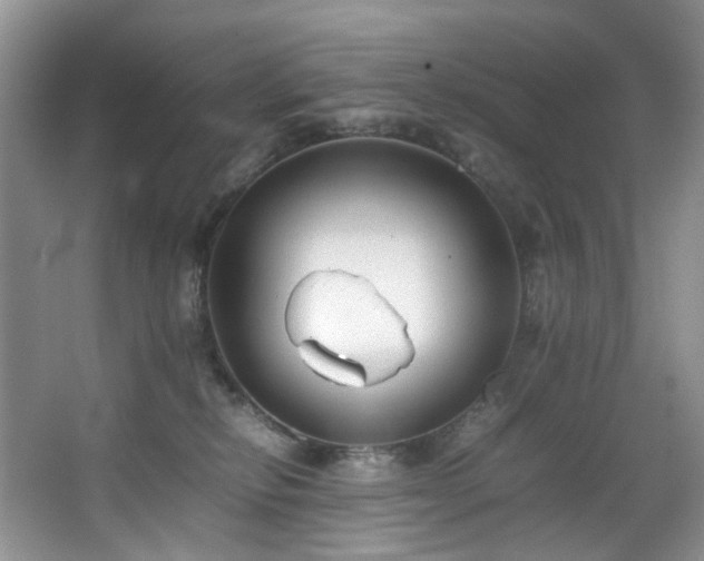 X0000064730278200602101157