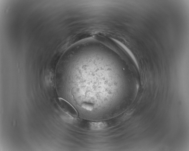 X0000064730281200602101158