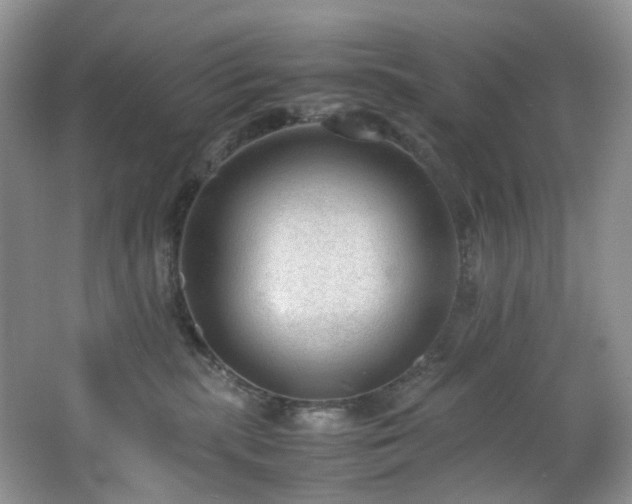 X0000064730283200602101158