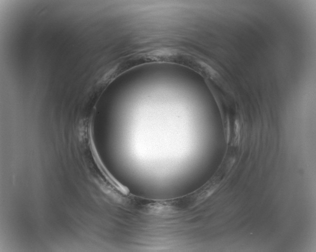 X0000064730284200602101158