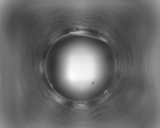 X0000064730285200602101158