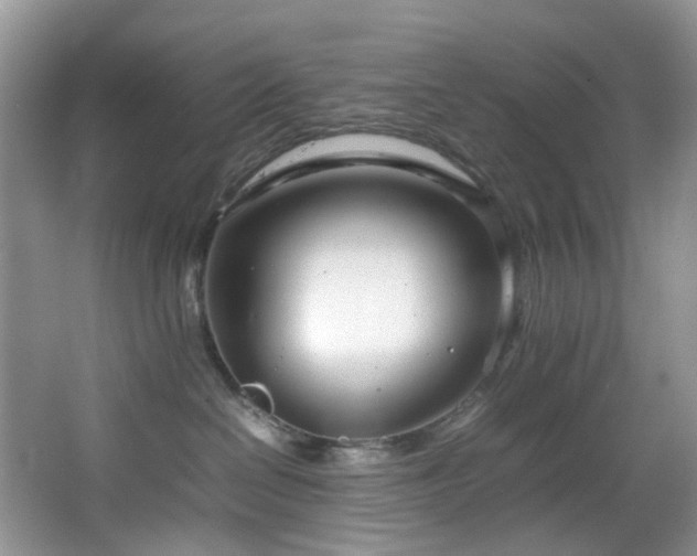 X0000064730286200602101158