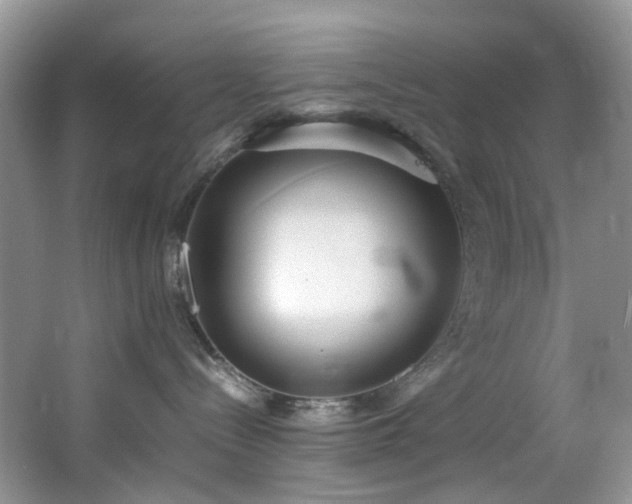 X0000064730288200602101158