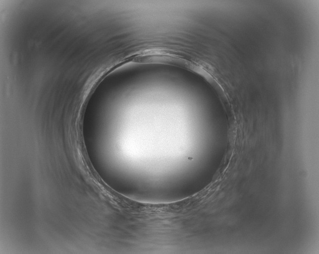 X0000064730289200602101157