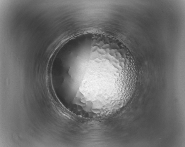 X0000064730290200602101157