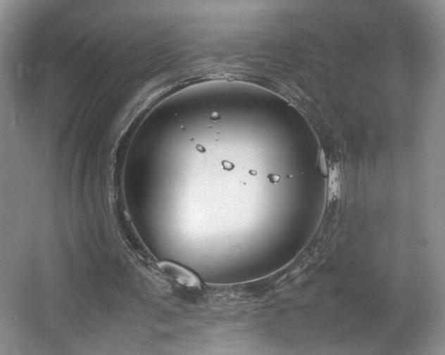 X0000064730291200602101157