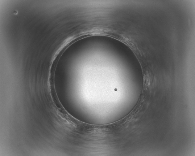 X0000064730292200602101157