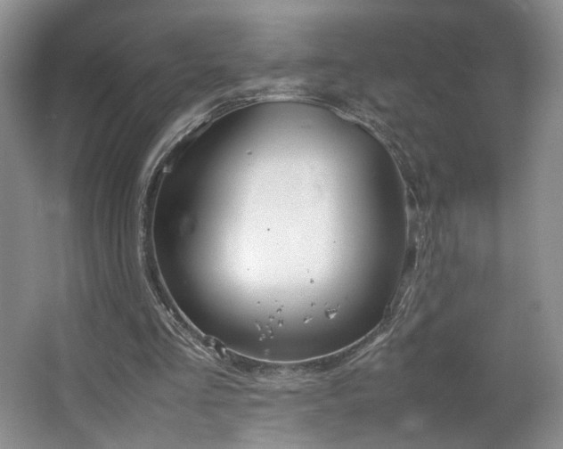 X0000064730293200602101157