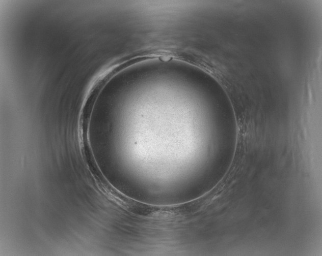 X0000064730294200602101157