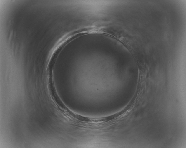 X0000064730295200602101157