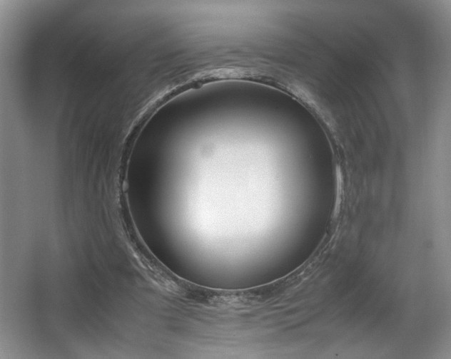 X0000064730297200602101157