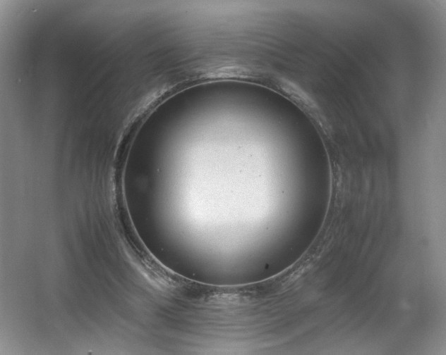 X0000064730298200602101157