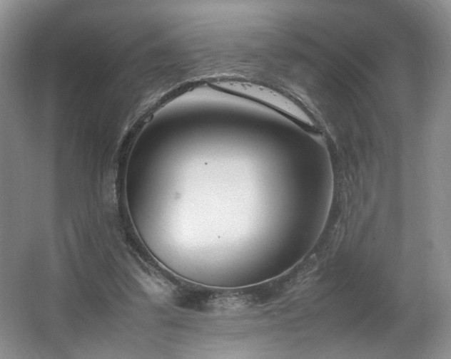 X0000064730299200602101157