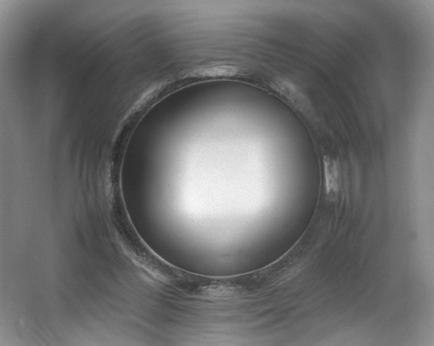 X0000064730300200602101157