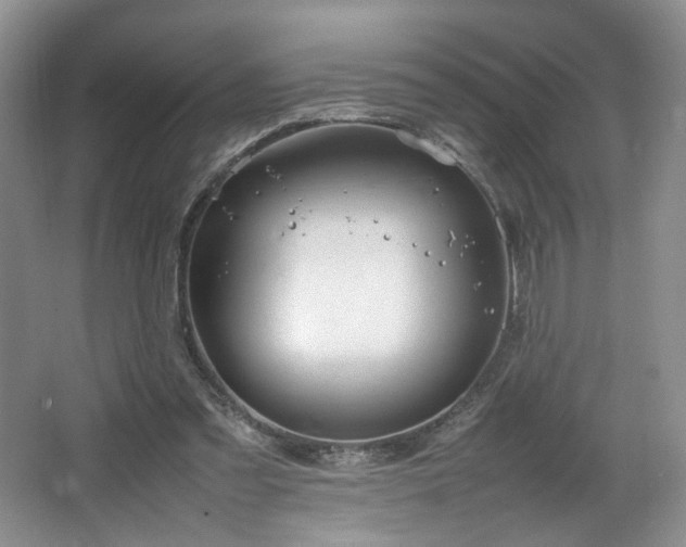 X0000064730301200602101157