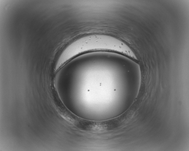 X0000064730303200602101157