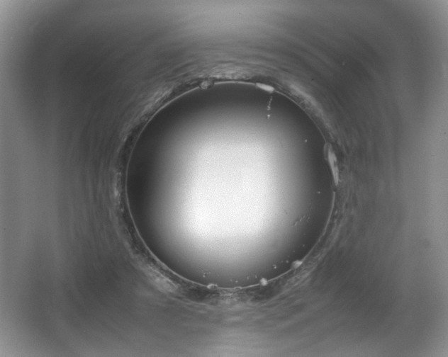 X0000064730305200602101157