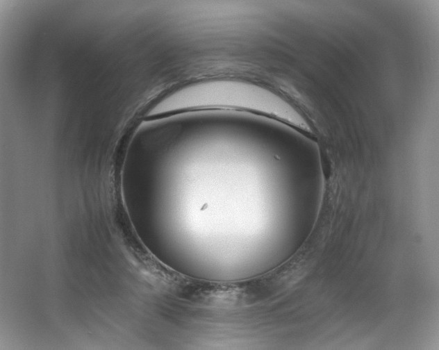 X0000064730306200602101157