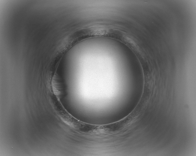 X0000064730307200602101157