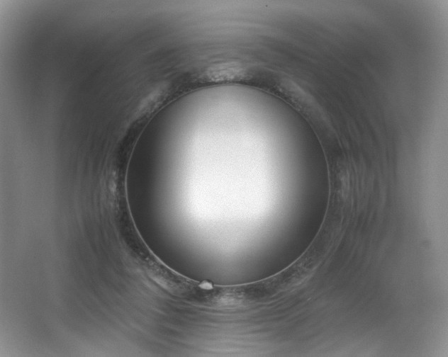 X0000064730308200602101157