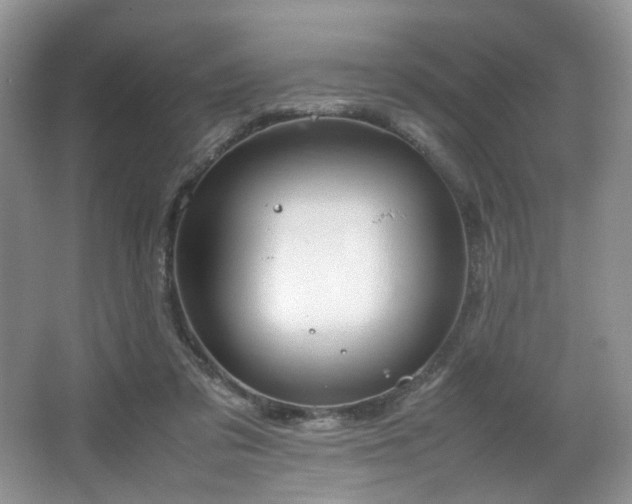 X0000064730309200602101157