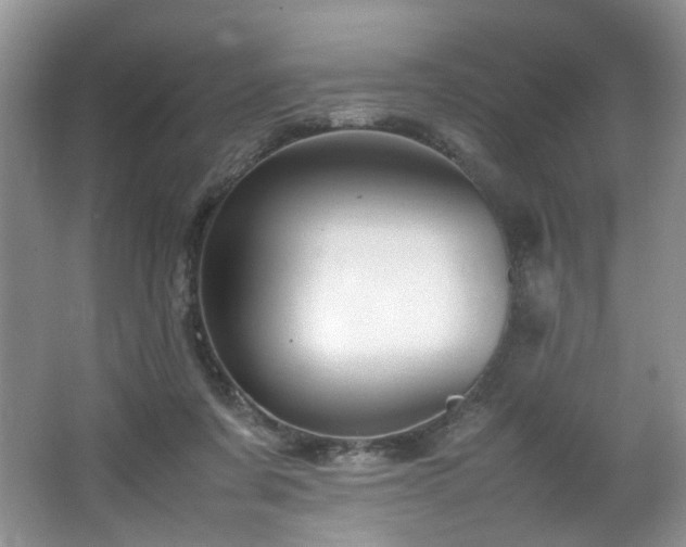 X0000064730311200602101156