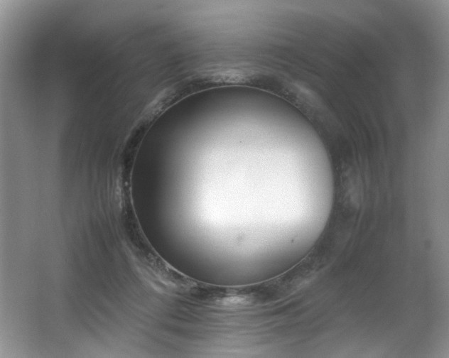 X0000064730312200602101156