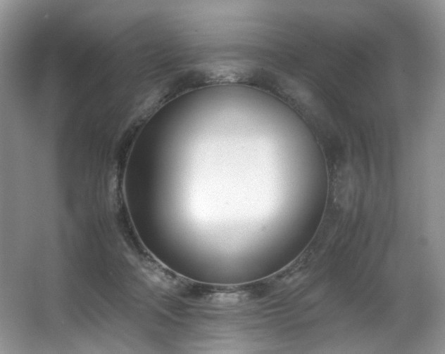 X0000064730314200602101156