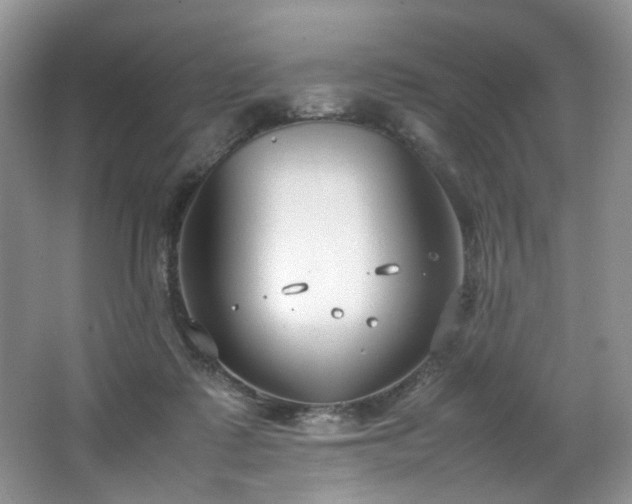 X0000064730315200602101156