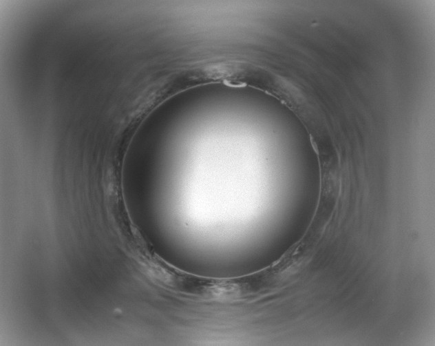 X0000064730317200602101156